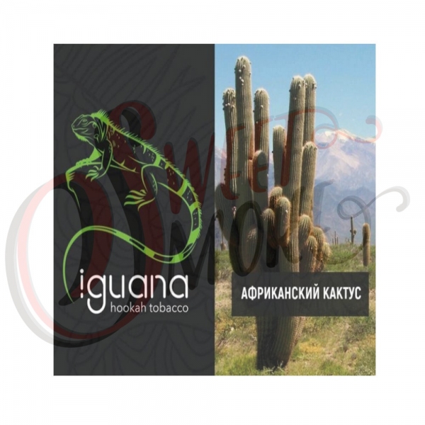 Купить Iguana HARD - Африканский Кактус (100 грамм)