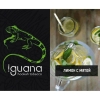 Купить Iguana Medium - Лимон-Минт (100 грамм)