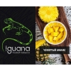 Купить Iguana Medium - Чокнутый Ананас (100 грамм)