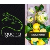 Купить Iguana HARD - Кислый Лимон (100 грамм)