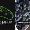 Купить Iguana HARD - Виноград Изабелла (100 грамм)