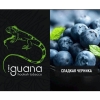 Купить Iguana Medium - Сладкая Черника (100 грамм)