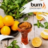 Купить Burn - Lemon Mint (Лимон с Мятой, 20 грамм)